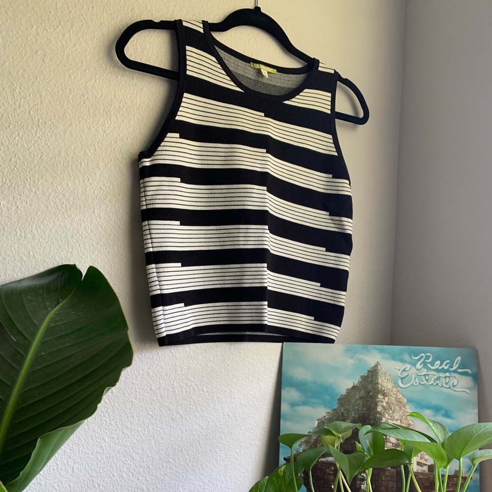 Elegant Striped Crop Top